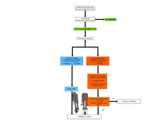 6.1f (Imatge zenital amb esquema complet.)