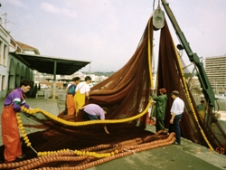 Xarxes de pesca d'encerclament