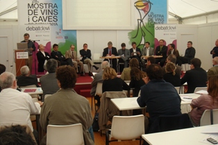 Sessió de Debatdevi