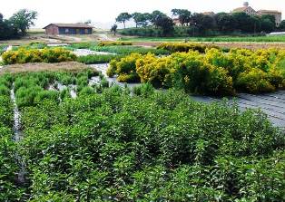 Jardineria i restauració del paisatge, tema de la jornada