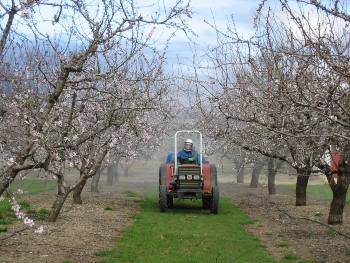 Finca agrícola