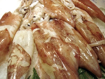 Calamars