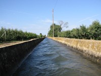 Regadiu