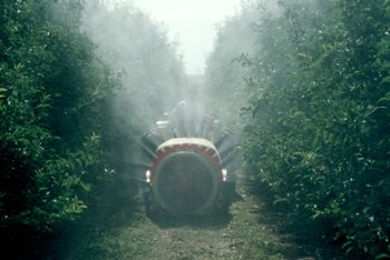 Aplicació de productes fitosanitaris