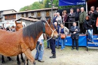 Tria de mulats d'Espinavell