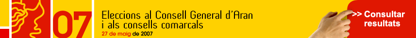 Eleccions al Consell General d'Aran i consells comarcals