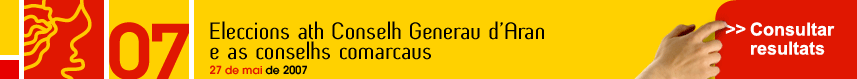 Eleccions al Consell General d'Aran i Conselhs comarcaus