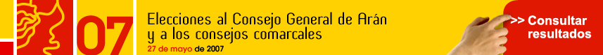 Eleccions al Consell General d'Aran i consells comarcals