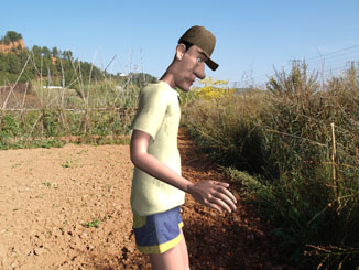 Agricultor observando las malas hierbas.