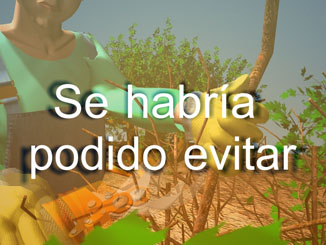 Se habría podido evitar.