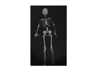 Esqueleto del hombre.