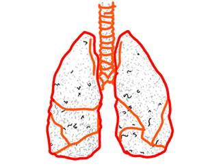 Dibujo de esquema de los pulmones.