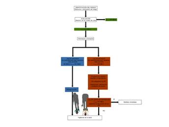 6.1f (Imagen cenital con esquema completo.)