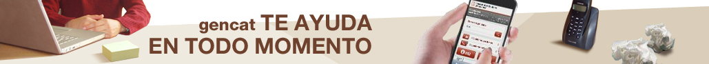 Accessibilitat