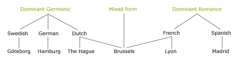 Figure 1. Outline of the Multilingual Cities Project (MCP)