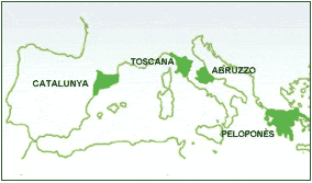 Regions participants