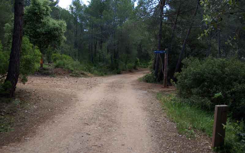 Creuement de camins