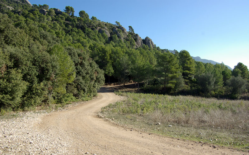 Creuement de camins