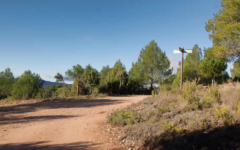 Cruce de caminos