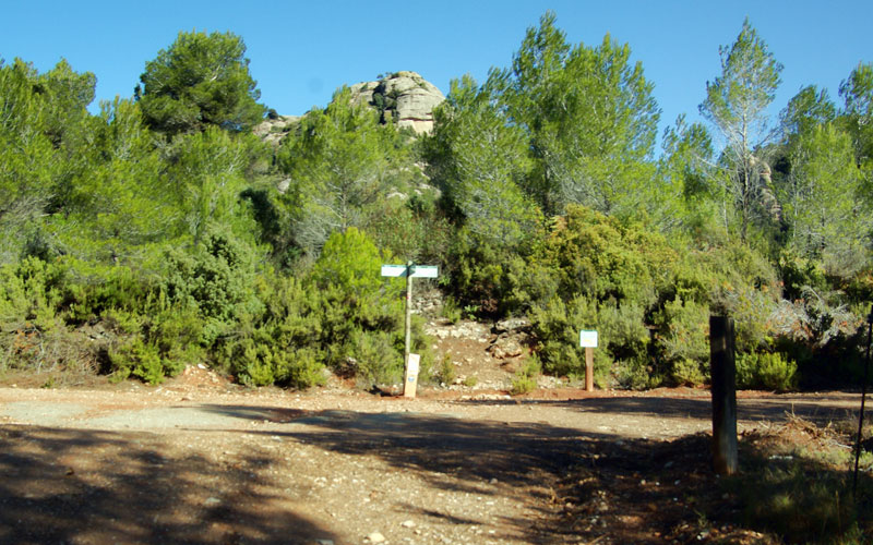 Cruce de caminos