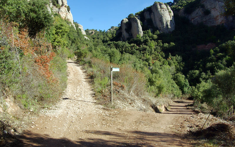Cruce de caminos