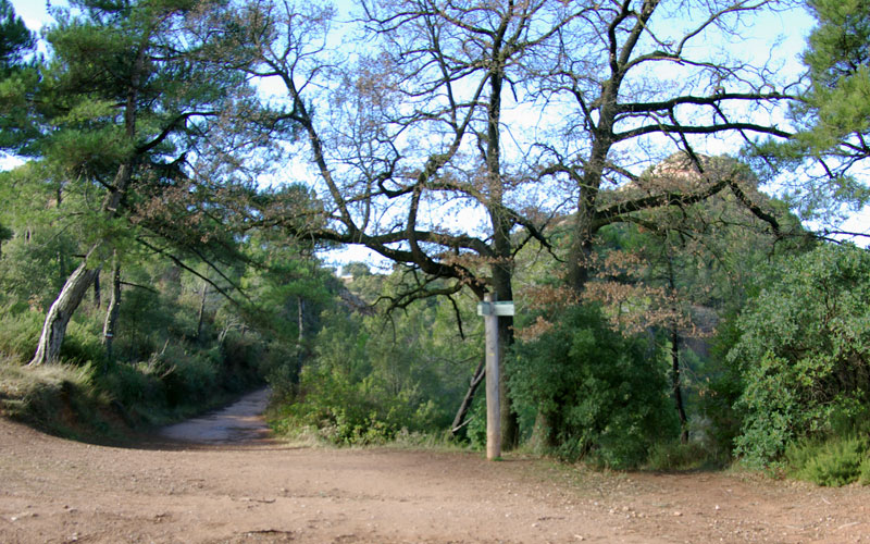 Cruce de caminos