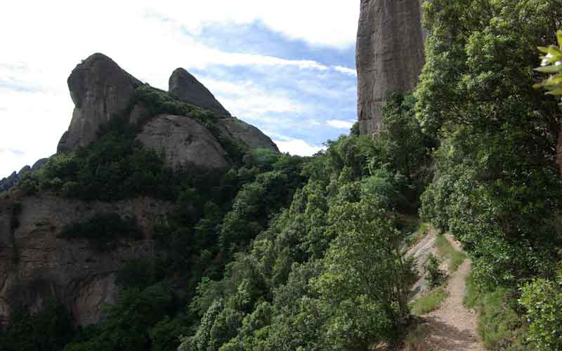 Coll de Port