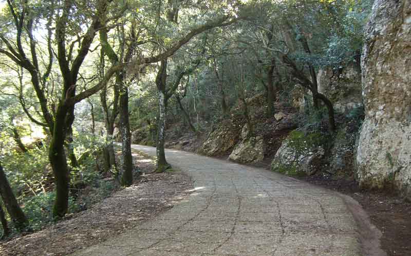 Camí de Sant Miquel