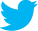 Icone Twitter