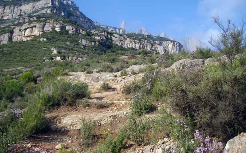 Cam de la Drecera dels Tres Quarts