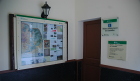 cartellera