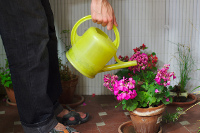 regadora i plantes