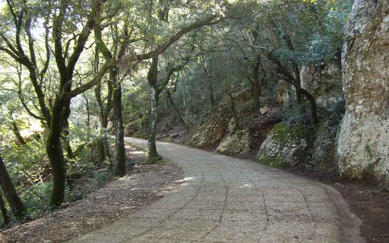 Sant Miquel Path