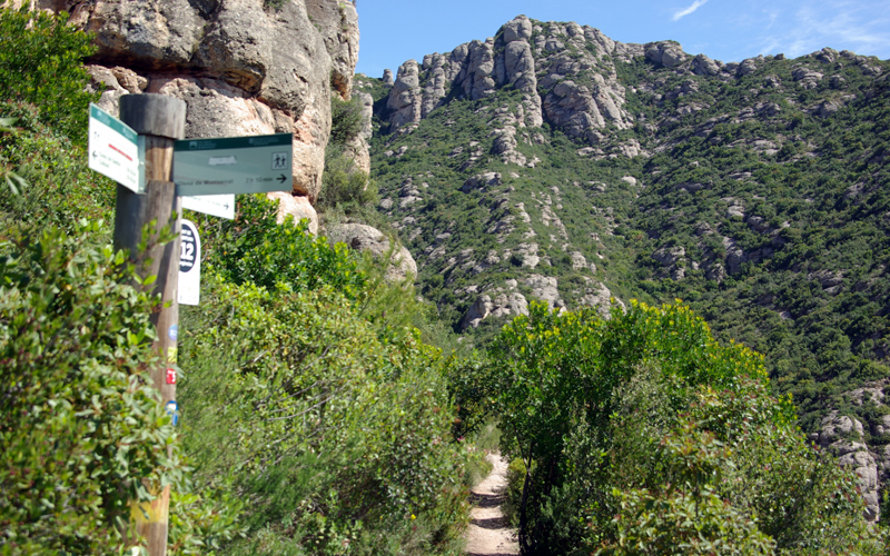 Cruce del camino con el GR-6 que viene de Ca n'Astruc