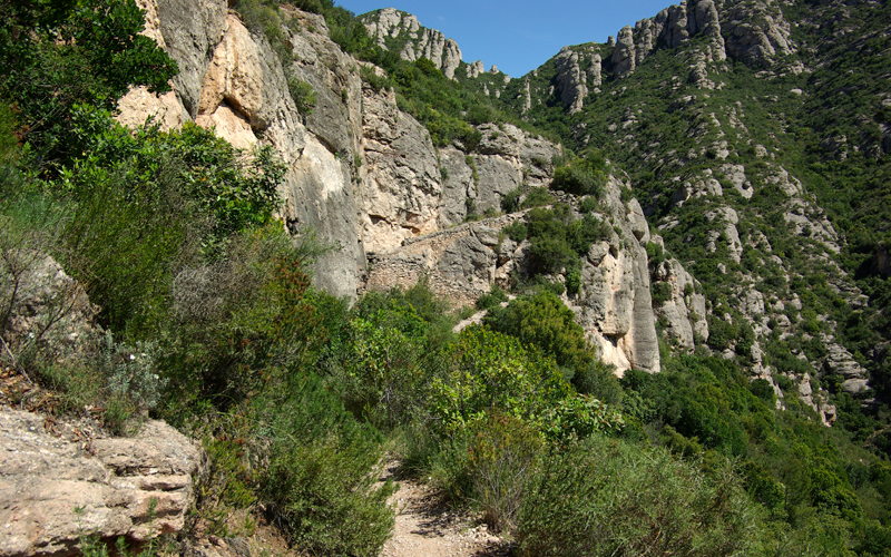 Torrente de la Bellasona